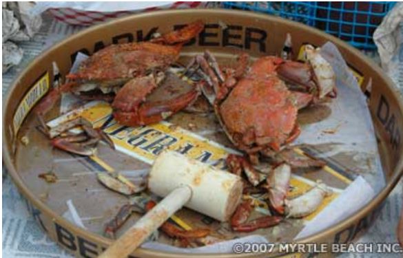 Blue Crabs at the Little River Blue Crab Festival